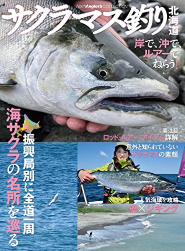 舗 マンガでわかる必ず釣れるソルトルアー講座 Riosmauricio Com
