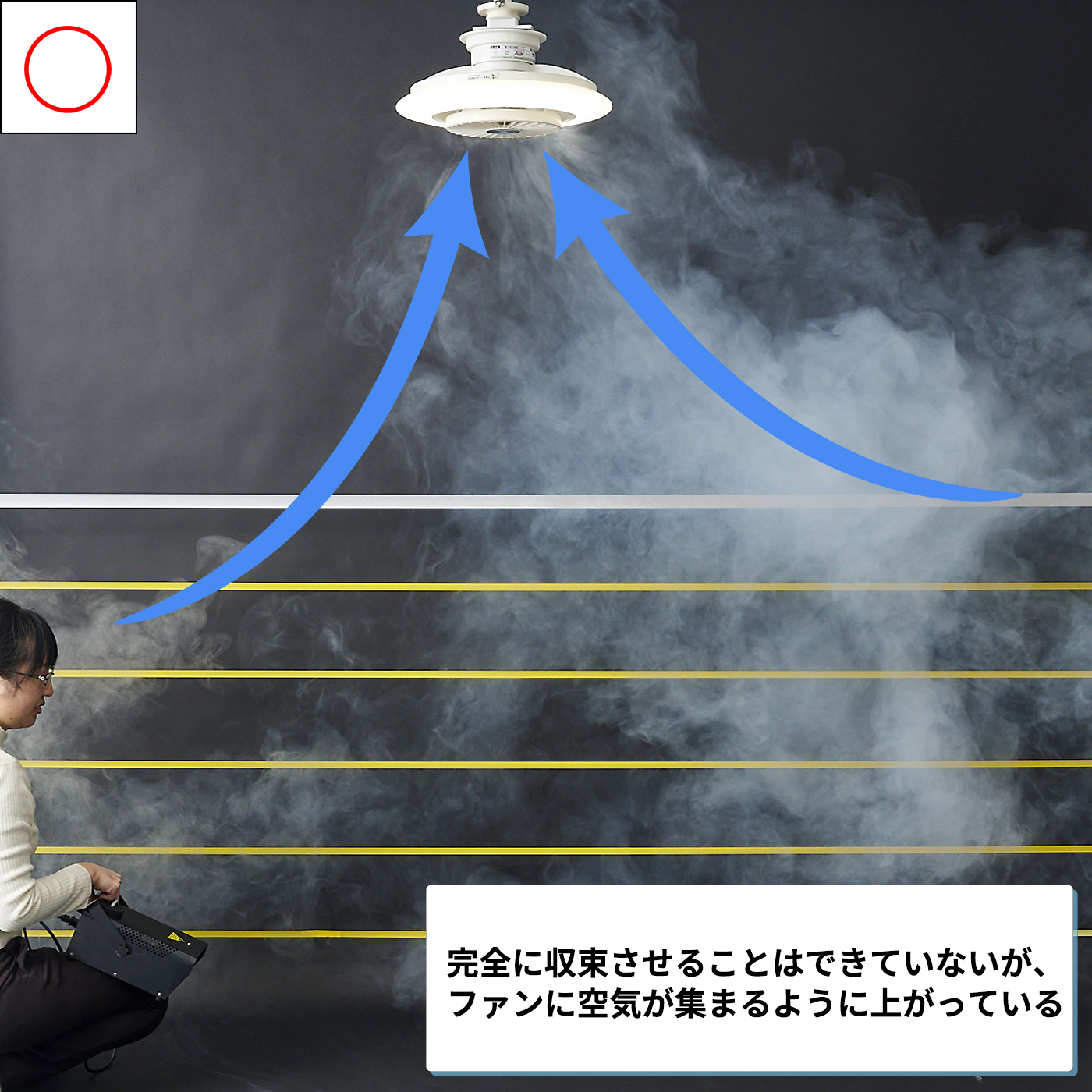 ドウシシャ サーキュライト EZシリーズ スイングモデル DCC-SW08ECを