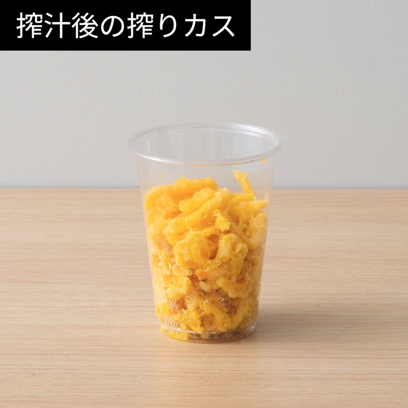 スロージューサー 10