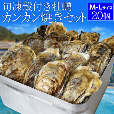 冷凍殻付き生牡蠣 加熱用 牡蠣ナイフ手袋付 1