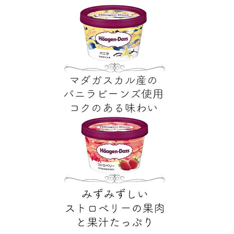 スペシャルセット 2