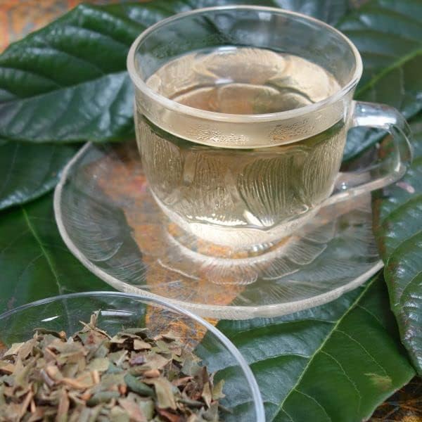 ビワの葉茶 2