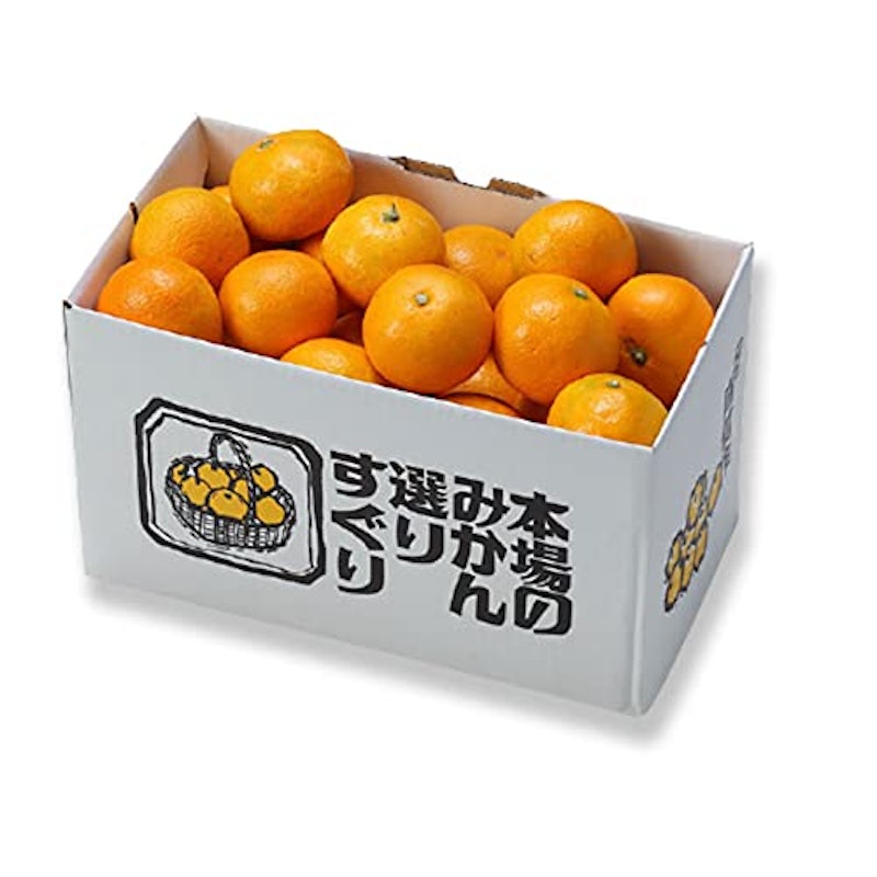 温州みかん 1