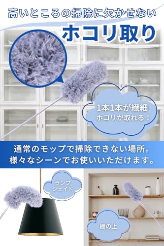 ホコリ取り 3