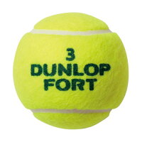 新品完全未開封 硬式テニスボール ダンロップHD ４個入り×30セット ...