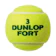 住友ゴム工業 DUNLOP FORT 1