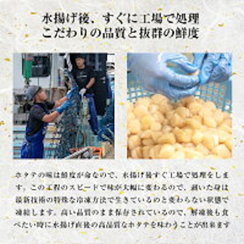 訳ありほたて貝柱 7