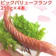 サンライズファーム ビックバリューフランク 1