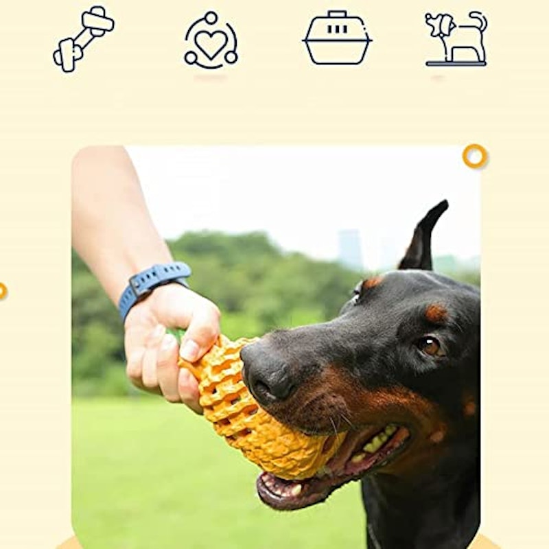 犬用おもちゃ 2