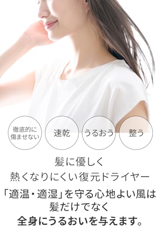 復元ドライヤー mini-α 3