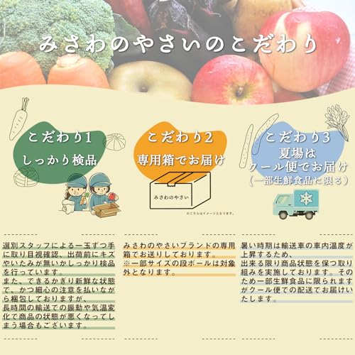 有田みかん 4