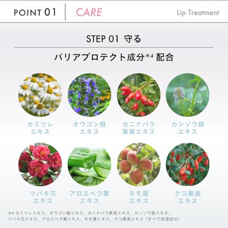 デイニードルリップ ストロング 5