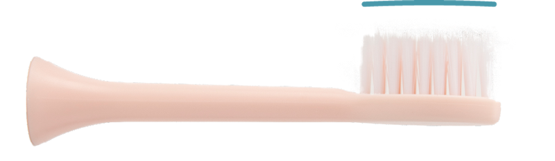 Dentaly 8