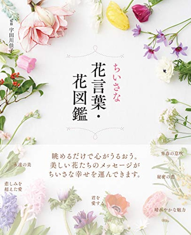 ちいさな花言葉・花図鑑 1