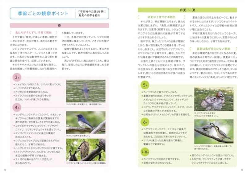 探す、出あう、楽しむ 身近な野鳥の観察図鑑 2