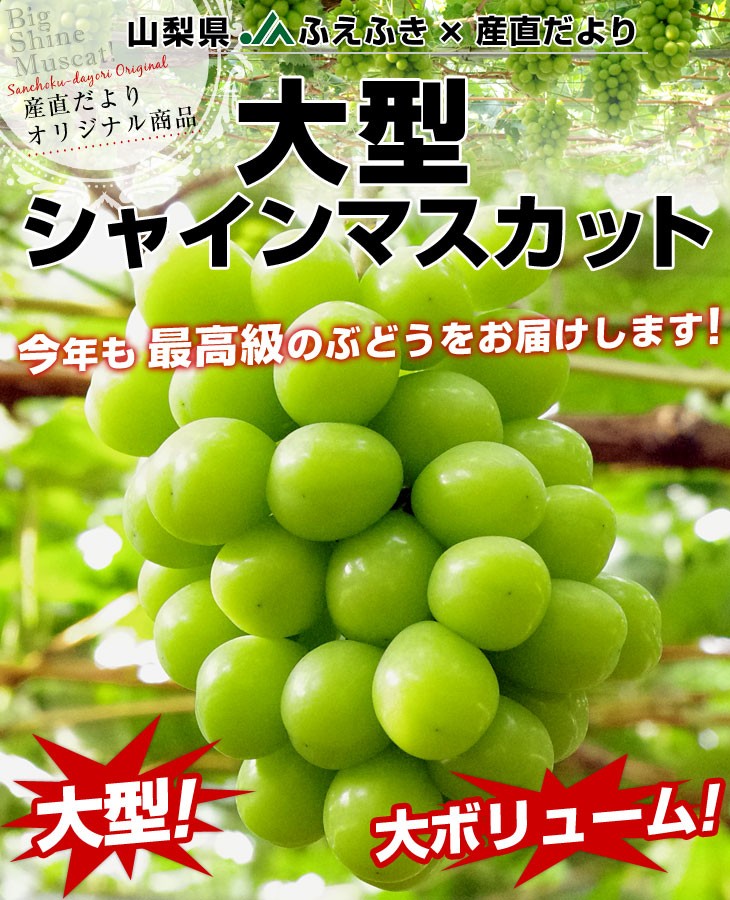 お取り寄せ果物のおすすめ人気ランキング【2026年6月】 4
