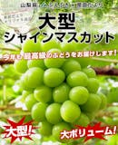 お取り寄せ果物のおすすめ人気ランキング【2026年6月】 4