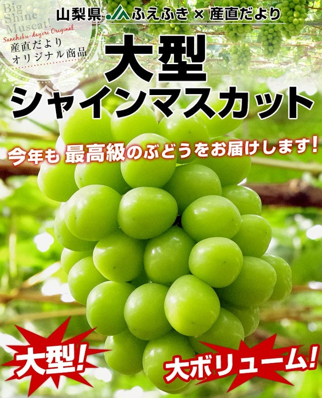 山梨県産 シャインマスカット 1