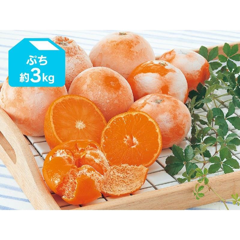 旬柑氷結・ぷち冷凍みかん 1