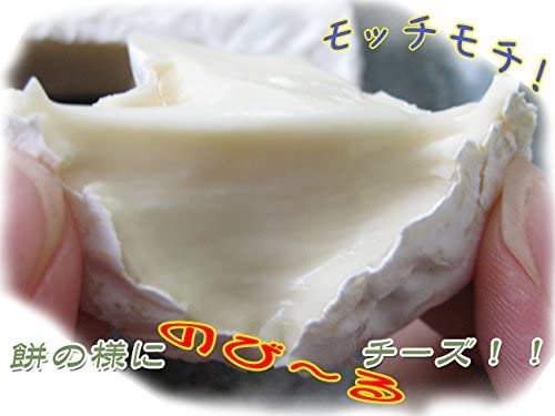 小林牧場物語 手づくりカマンベールチーズ 6