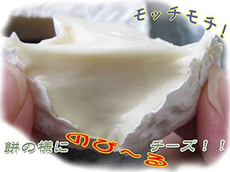 小林牧場物語 手づくりカマンベールチーズ 6