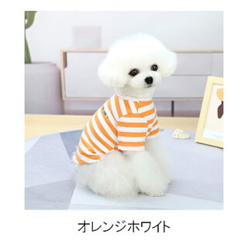 PET FiND ボールドボーダーシャツ 2