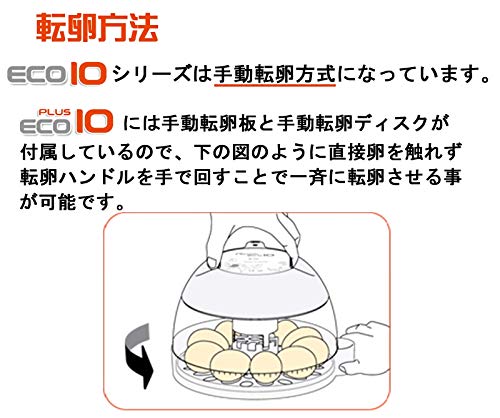 RcomエコPlus10 手動転卵式小型孵卵器 2