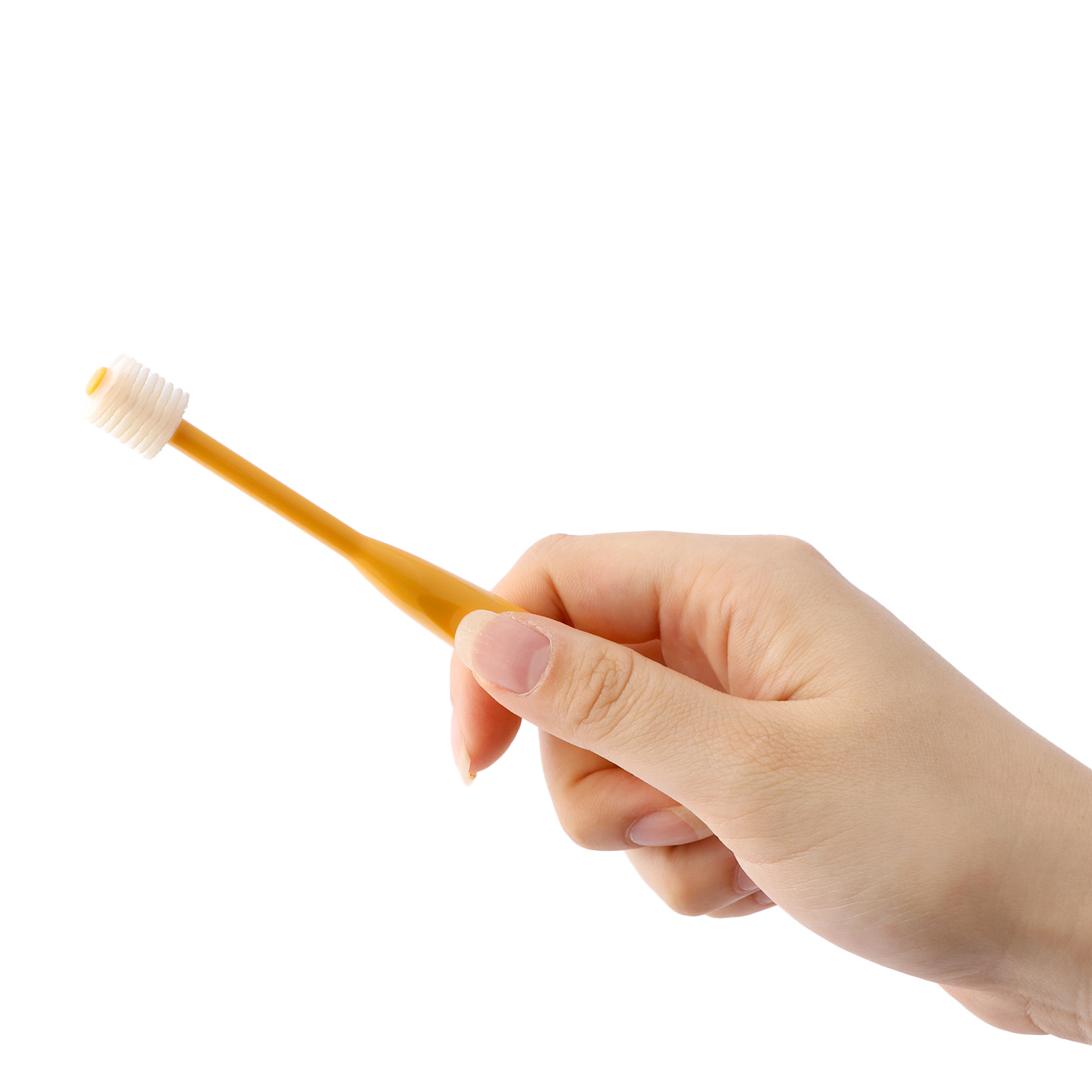 22年 犬用歯ブラシのおすすめ人気ランキング15選 徹底比較 Mybest