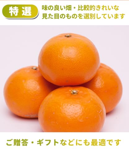 特選 せとか 2