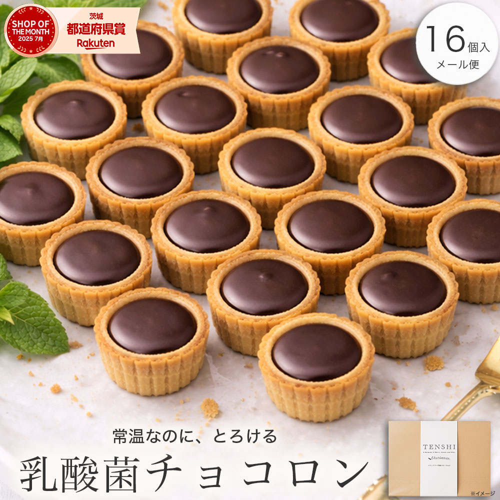 乳酸菌チョコロン 16個入 チョコタルト クッキー 1