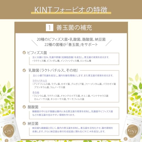キントフォービオ 4