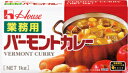 バーモントカレー 業務用 1