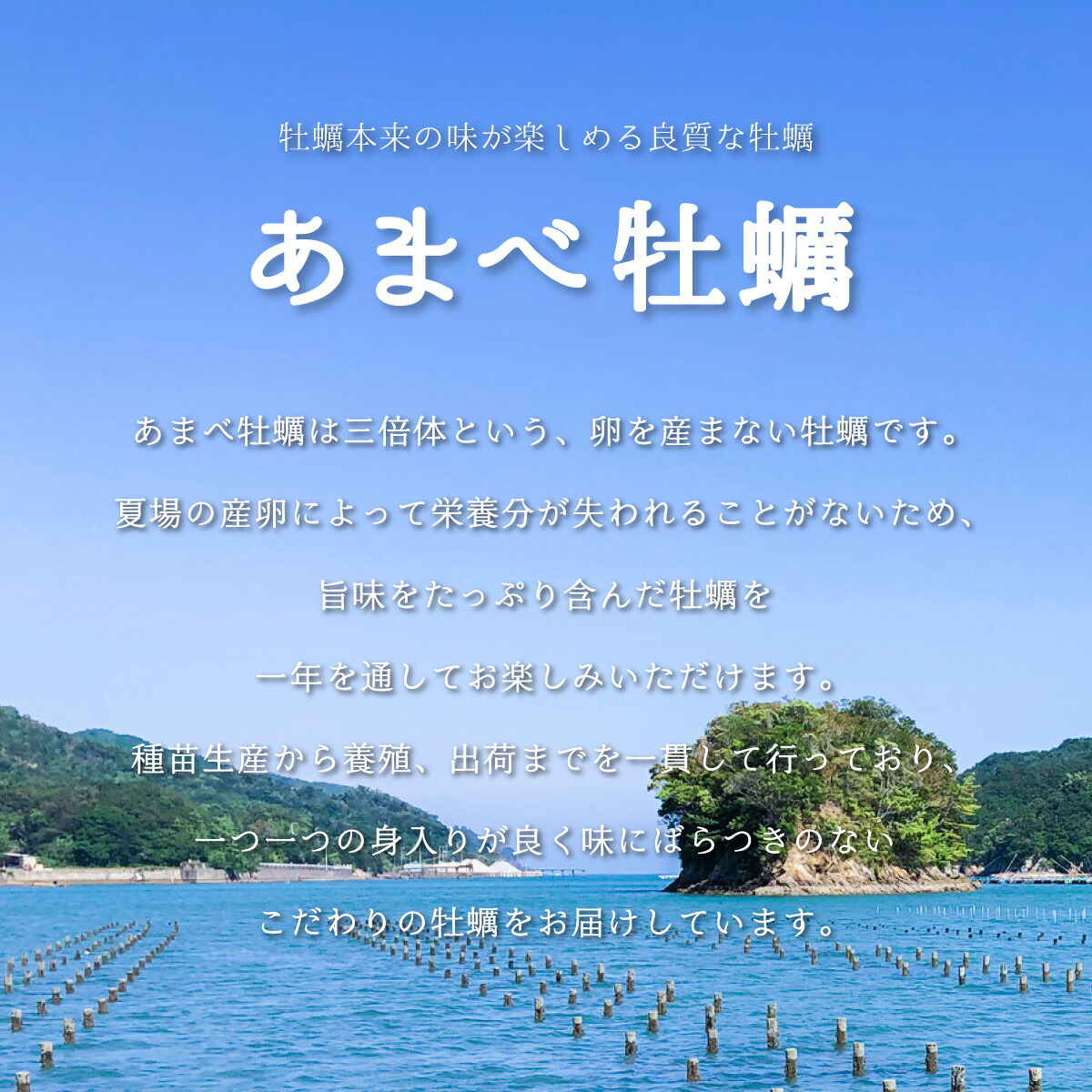 あまべ牡蠣 20個 2