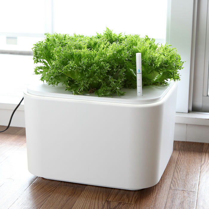 水耕栽培 EC Grow 水耕栽培キット ベランダ 水耕栽培 土を使わず 室内栽培