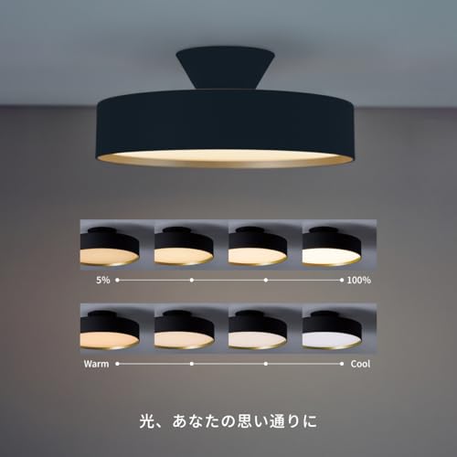 アートワークスタジオのグローシーリングライトのおすすめ人気
