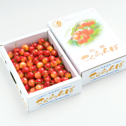 ふるさと納税 びわ・さくらんぼ 山形県 中山町 令和8年産 先行