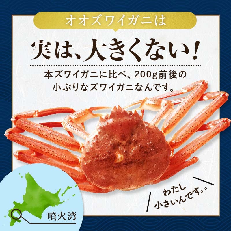 北海道噴火湾産活オオズワイガニ（中小サイズ）3kg詰め込みセット 2