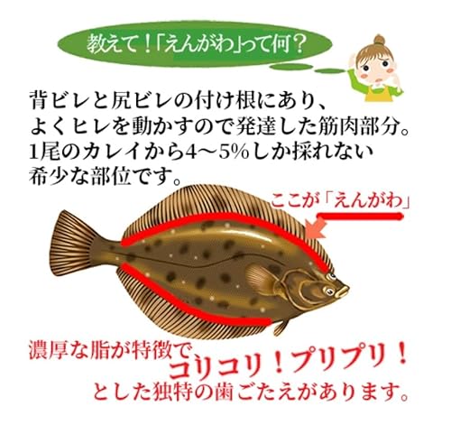 エンガワ 2