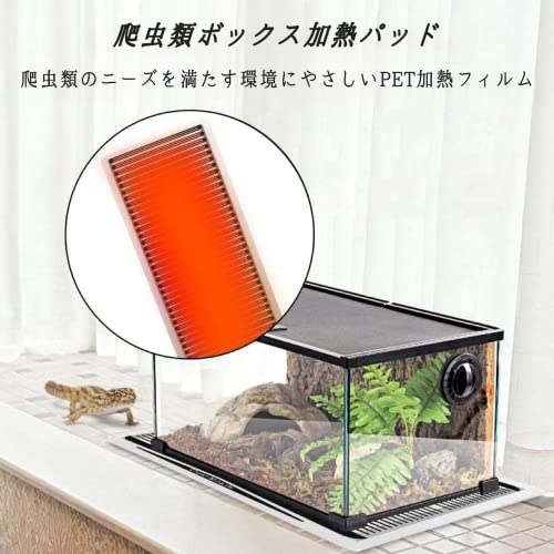 中型ガラス飼育ケージ + 加熱パネル 中型ガラス飼育ケージ + 加熱パネル 爬虫類用ヒーターのおすすめ