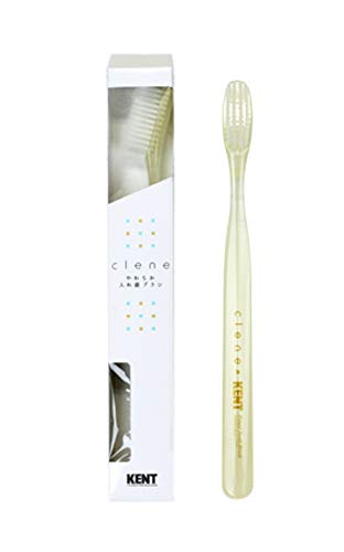 clene やわらか入れ歯ブラシ 1