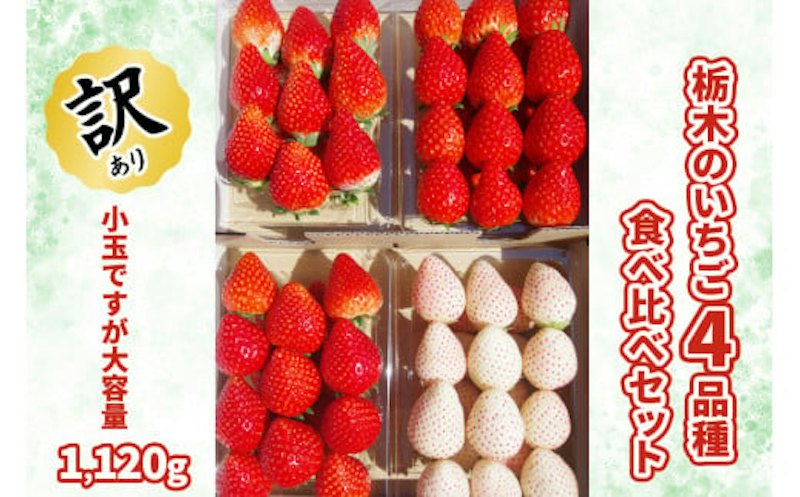 栃木のいちご4品種食べ比べセット 1