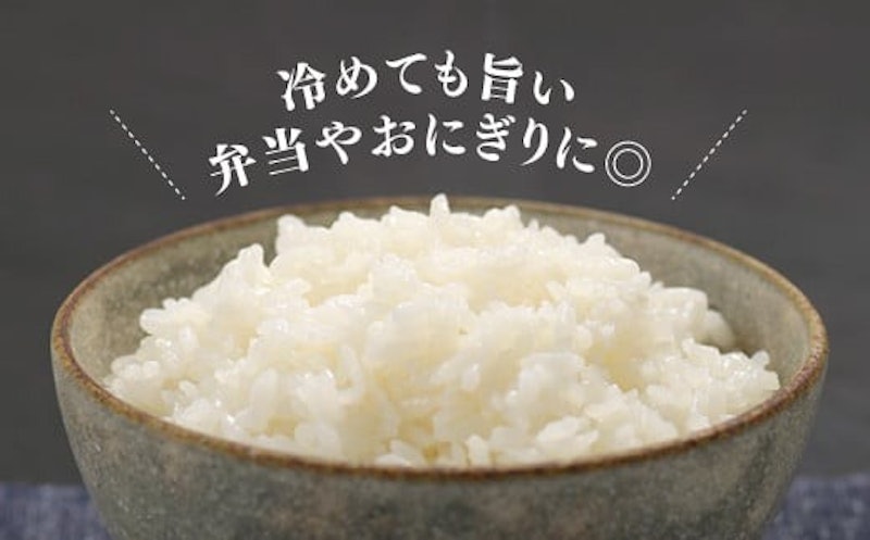 全5回定期便 特Aも獲得した自慢のお米「元気つくし」5kg 3