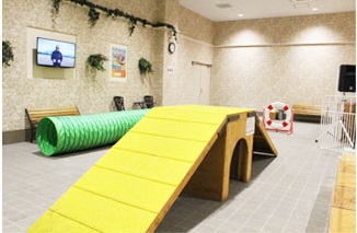 21年 東京都内のドッグランのおすすめ人気ランキング選 Mybest