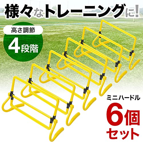 トレーニングラダー 2