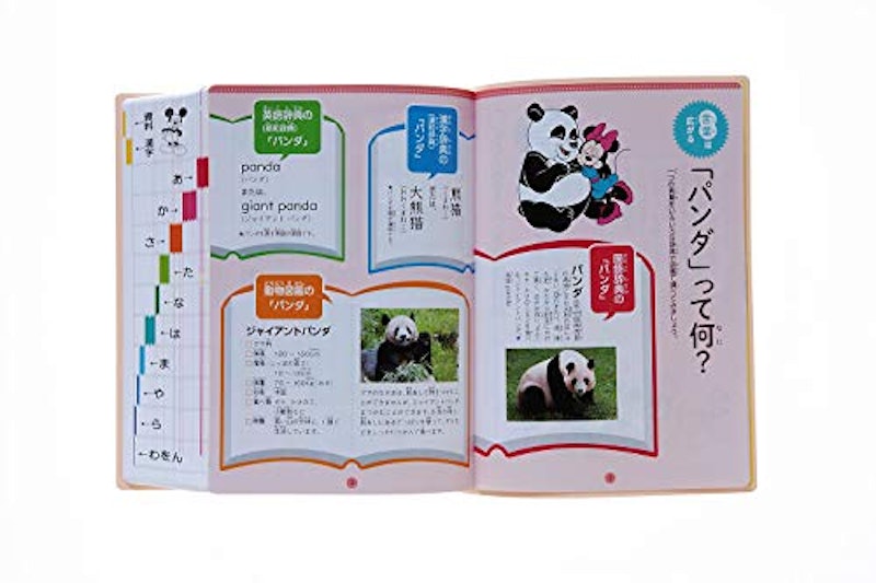 新レインボー小学国語辞典 改訂第6版 ディズニー版 8