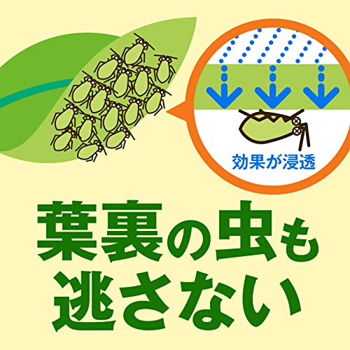 野菜うまし 6