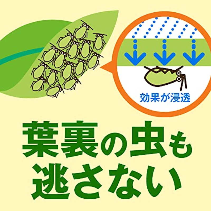 野菜うまし 6