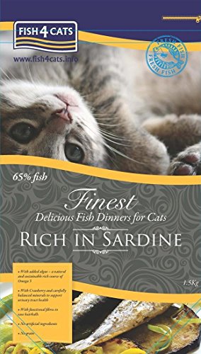 キャット ファイネスト  イワシ 1