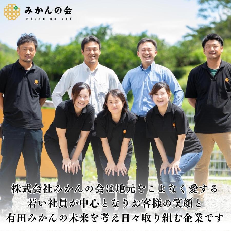 冷凍 種あり巨峰 10