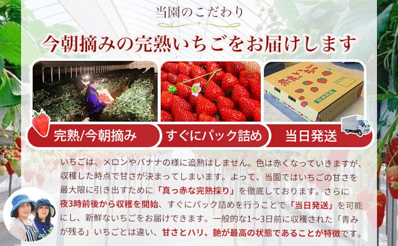 古都華 3